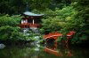 beautiful-bridge-chinese-ferns-pagoda-Favim.com-209669.jpg